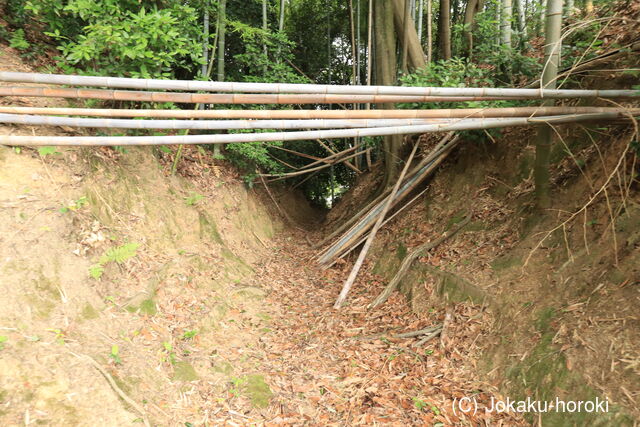 大和 鈴山城の写真