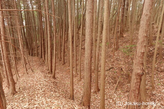 大和 多田北城の写真