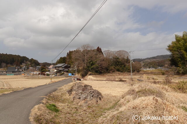 大和 多田下城の写真