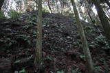 大和 高取城の写真