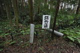 大和 高取城の写真