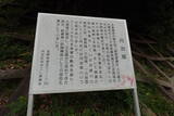 大和 丹治城の写真