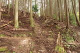 大和 丹治城の写真