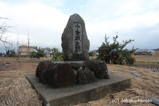 大和 十市城の写真