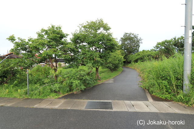 大和 唐院城の写真