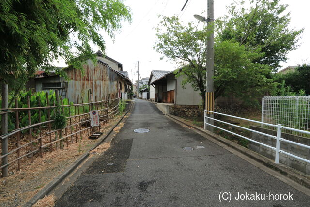 大和 東九条城の写真