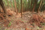 大和 多武峰城塞群(御破裂山地区)の写真