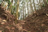 大和 多武峰城塞群(御破裂山地区)の写真