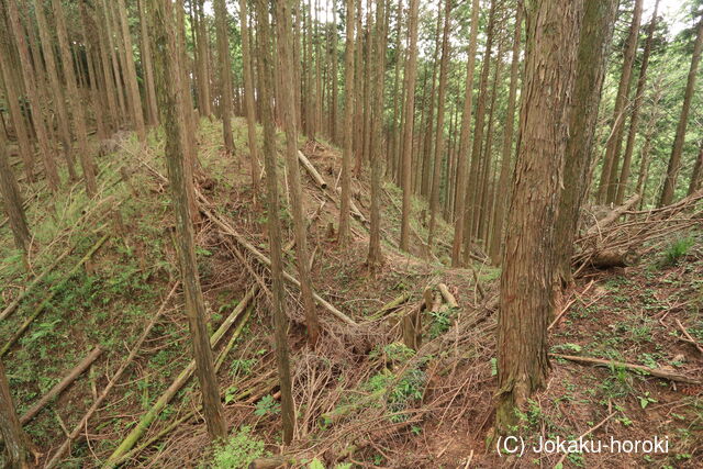 大和 多武峰城塞群(念誦崛地区)の写真