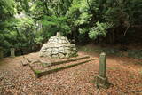 大和 多武峰城塞群(念誦崛地区)の写真