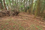 大和 多武峰城塞群(念誦崛地区)の写真