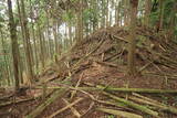 大和 多武峰城塞群(念誦崛地区)の写真