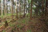 大和 多武峰城塞群(念誦崛地区)の写真