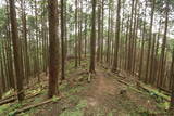 大和 多武峰城塞群(念誦崛地区)の写真