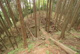 大和 多武峰城塞群(念誦崛地区)の写真