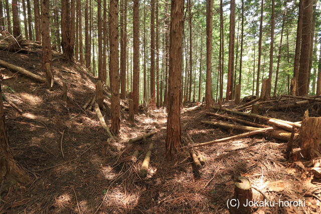 大和 多武峰城塞群(岡道地区)の写真