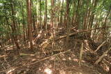 大和 多武峰城塞群(岡道地区)の写真