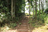 大和 多武峰城塞群(岡道地区)の写真