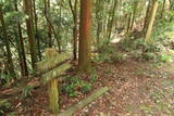 大和 多武峰城塞群(岡道地区)の写真