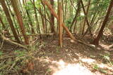 大和 多武峰城塞群(岡道地区)の写真