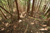 大和 多武峰城塞群(岡道地区)の写真