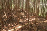 大和 多武峰城塞群(岡道地区)の写真