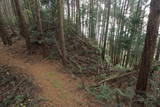 大和 矢走城の写真