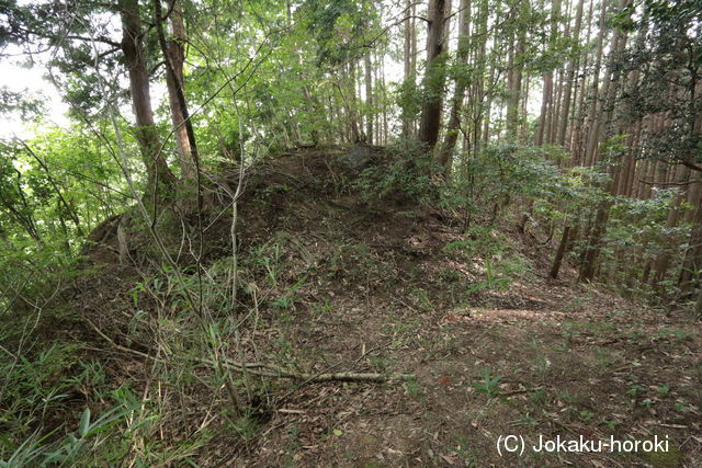 大和 柳生城の写真集 城郭放浪記