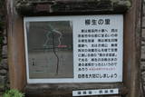 大和 柳生古城の写真