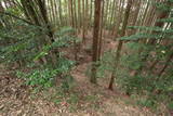 大和 柳生古城の写真