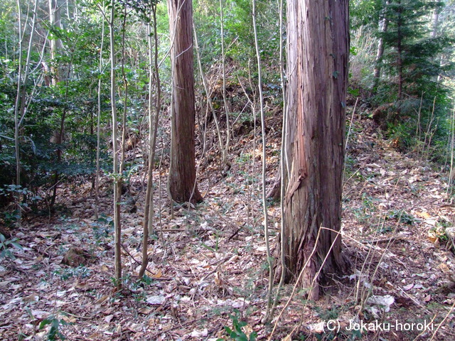 大和 山辺中城の写真