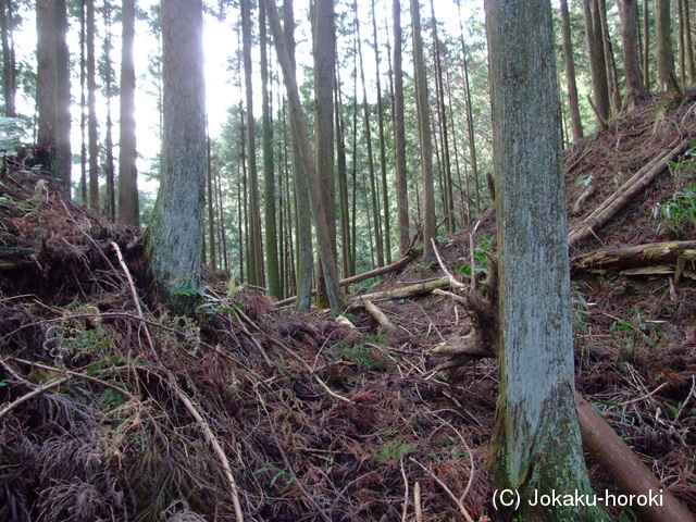 大和 山辺篠畑城の写真