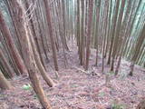 大和 山辺篠畑城の写真