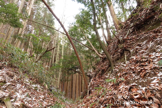 大和 山田岩掛城の写真