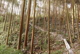 大和 山田岩掛城の写真