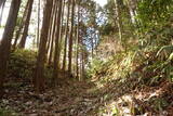 大和 山田岩掛城の写真