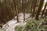 大和 山田岩掛城の写真