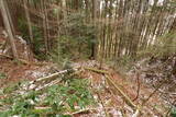 大和 山田岩掛城の写真