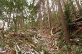 大和 山田岩掛城の写真