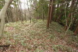 大和 山田岩掛城の写真