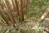 大和 山田岩掛城の写真