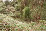 大和 山田岩掛城の写真