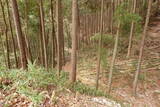 大和 山田岩掛城の写真