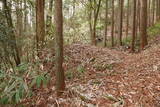 大和 山田岩掛城の写真