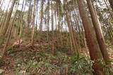 大和 山田岩掛城の写真
