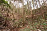 大和 山田岩掛城の写真