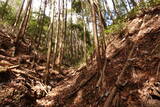 大和 山田岩掛城の写真
