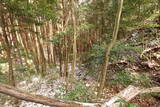 大和 山田岩掛城の写真