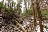 大和 山田岩掛城の写真