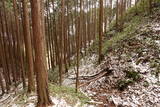 大和 山田岩掛城の写真